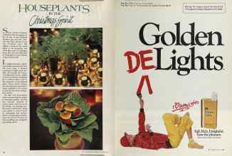 Better Homes & Gardens December 1981 Magazine Article: Page 18