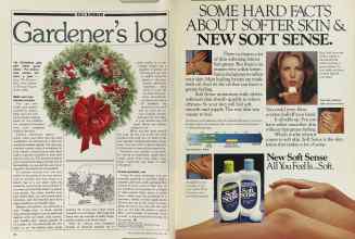 Better Homes & Gardens December 1981 Magazine Article: Page 22
