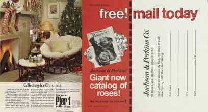 Better Homes & Gardens December 1981 Magazine Article: Page 28