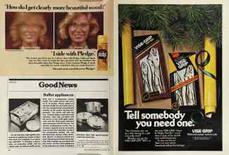 Better Homes & Gardens December 1981 Magazine Article: Page 40