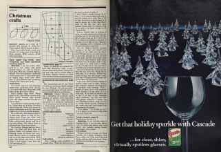 Better Homes & Gardens December 1981 Magazine Article: Page 144