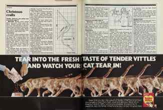 Better Homes & Gardens December 1981 Magazine Article: Page 164