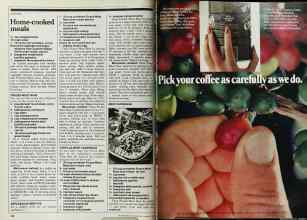 Better Homes & Gardens January 1982 Magazine Article: Page 100