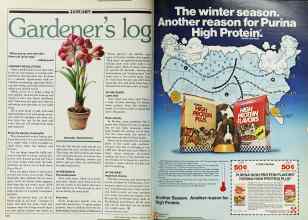 Better Homes & Gardens January 1982 Magazine Article: Page 120