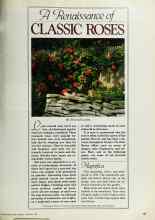 Better Homes & Gardens February 1982 Magazine Article: A Renaissance of CLASSIC ROSES