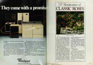 Better Homes & Gardens February 1982 Magazine Article: Page 36