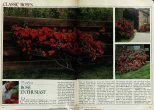 Better Homes & Gardens February 1982 Magazine Article: Page 42