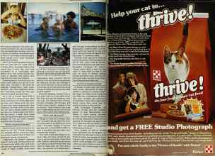 Better Homes & Gardens February 1982 Magazine Article: Page 134