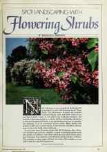 Better Homes & Gardens March 1982 Magazine Article: SPOT LANDSCAPING WITH Flowering Shrubs