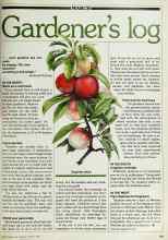 Better Homes & Gardens March 1982 Magazine Article: Gardener's log