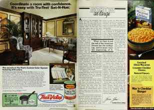 Better Homes & Gardens March 1982 Magazine Article: Page 6
