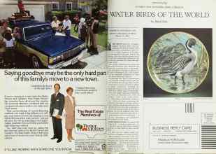 Better Homes & Gardens March 1982 Magazine Article: Page 28