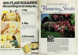 Better Homes & Gardens March 1982 Magazine Article: Page 70
