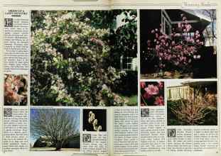 Better Homes & Gardens March 1982 Magazine Article: Page 72