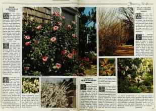 Better Homes & Gardens March 1982 Magazine Article: Page 76