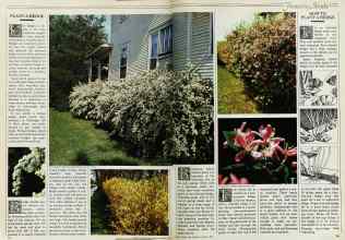 Better Homes & Gardens March 1982 Magazine Article: Page 78