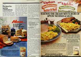 Better Homes & Gardens March 1982 Magazine Article: Page 102