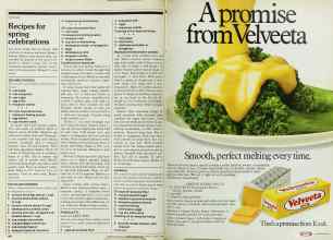 Better Homes & Gardens March 1982 Magazine Article: Page 106