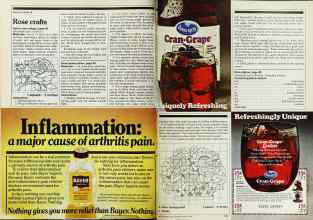 Better Homes & Gardens March 1982 Magazine Article: Page 118