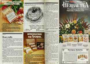 Better Homes & Gardens March 1982 Magazine Article: Page 122