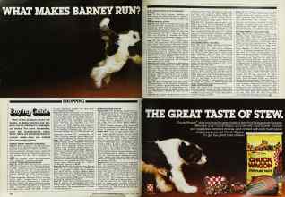 Better Homes & Gardens March 1982 Magazine Article: Page 138