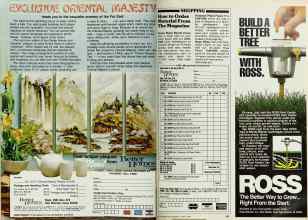 Better Homes & Gardens March 1982 Magazine Article: Page 152