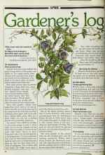Better Homes & Gardens April 1982 Magazine Article: Gardener's log