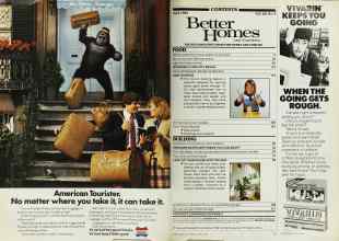 Better Homes & Gardens April 1982 Magazine Article: Page 6