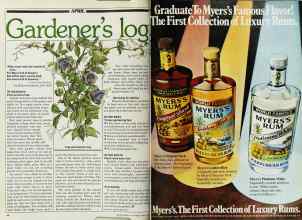 Better Homes & Gardens April 1982 Magazine Article: Page 46