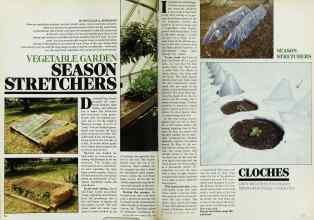 Better Homes & Gardens April 1982 Magazine Article: Page 50