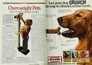 Better Homes & Gardens April 1982 Magazine Article: Page 74