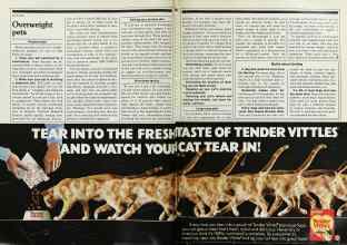 Better Homes & Gardens April 1982 Magazine Article: Page 76