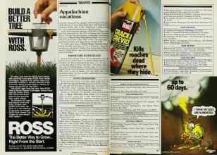 Better Homes & Gardens April 1982 Magazine Article: Page 166