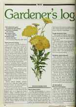 Better Homes & Gardens May 1982 Magazine Article: Gardener's log