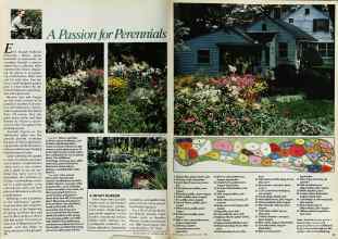 Better Homes & Gardens May 1982 Magazine Article: Page 50