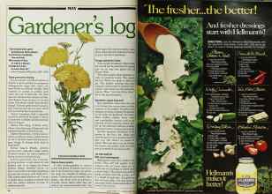 Better Homes & Gardens May 1982 Magazine Article: Page 64