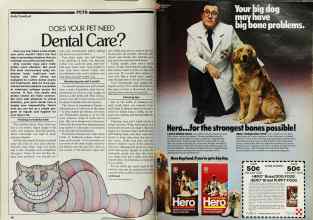 Better Homes & Gardens May 1982 Magazine Article: Page 66