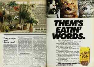 Better Homes & Gardens May 1982 Magazine Article: Page 68