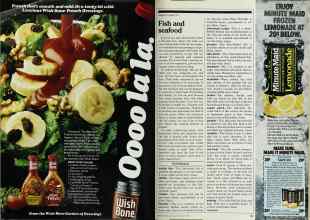 Better Homes & Gardens May 1982 Magazine Article: Page 120