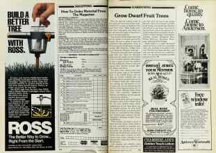 Better Homes & Gardens May 1982 Magazine Article: Page 174