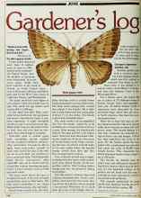 Better Homes & Gardens June 1982 Magazine Article: Gardener's log