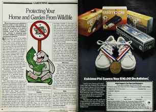Better Homes & Gardens June 1982 Magazine Article: Page 82