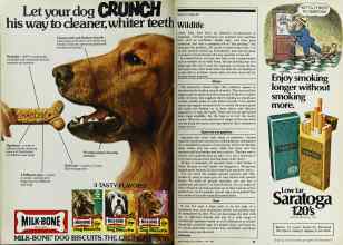 Better Homes & Gardens June 1982 Magazine Article: Page 86