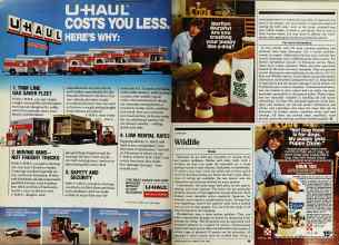 Better Homes & Gardens June 1982 Magazine Article: Page 88