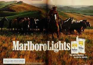 Better Homes & Gardens June 1982 Magazine Article: Page 186