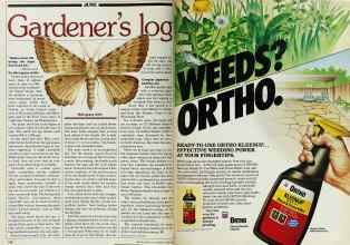 Better Homes & Gardens June 1982 Magazine Article: Page 190