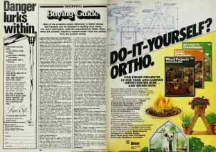 Better Homes & Gardens June 1982 Magazine Article: Page 196