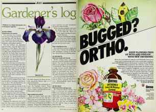 Better Homes & Gardens July 1982 Magazine Article: Page 126