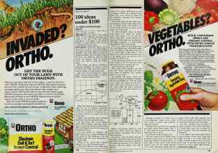 Better Homes & Gardens July 1982 Magazine Article: Page 128