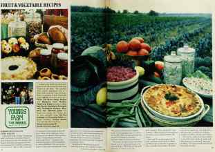 Better Homes & Gardens August 1982 Magazine Article: Page 78
